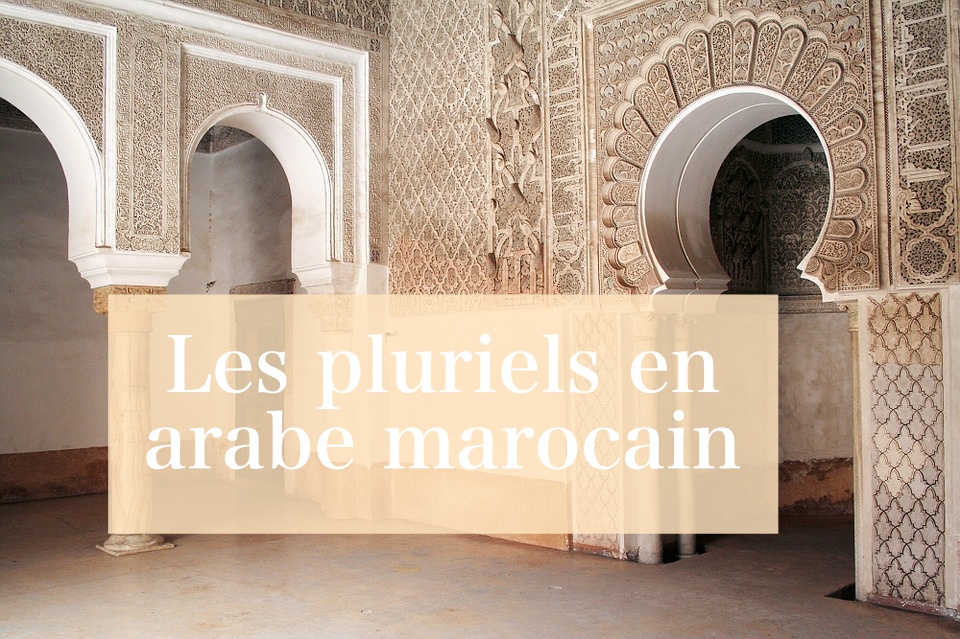 Apprendre la darija marocaine avec SpeakMoroccan.com